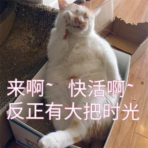 《冰原守卫者》一起来看书和古迹藏品的秘密！