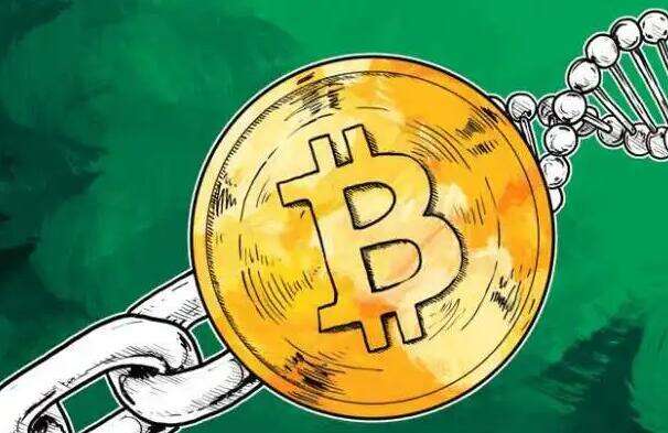 维卡币安卓官方版哪里下载 维卡币app下载安卓客户端