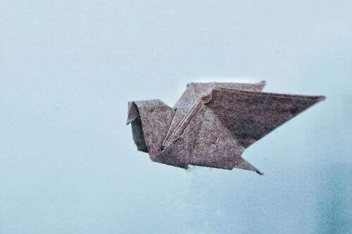 铭文Fomo热度消退 比特币生态该何去何从