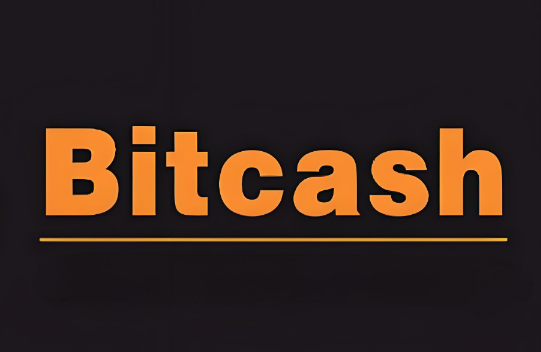 Bitcash交易平台是真的吗