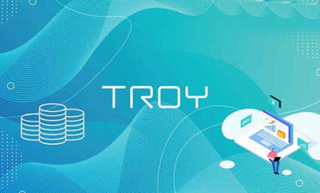 TROY币能涨多少