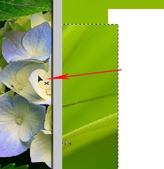 如何使用 Photoshop CS3 进行拼图？Photoshop CS3其基本操作介绍