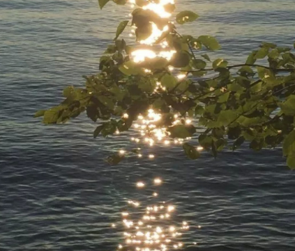 适合深夜emo发的精湛很好用的朋友圈文案1
