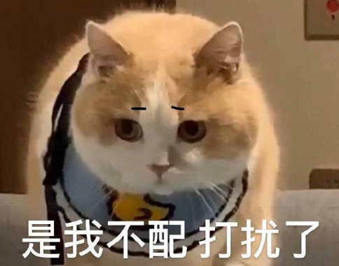 很独特又搞怪的很有吸引力的微信朋友圈小作文1