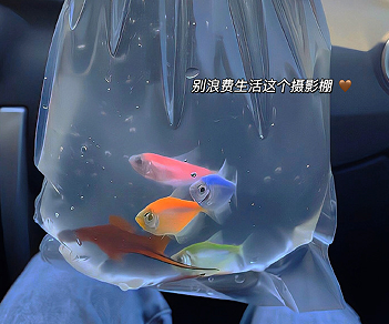神仙简短的经典的最有个性的签名1