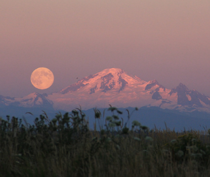 很戳人心的超可爱的微信小短文1