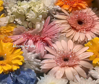 很有动力的温柔到极致的女人有品位的个性签名1