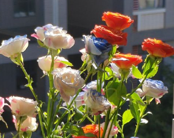 适合高冷女孩的很有感触的非主流的个性签名1