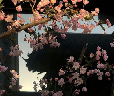 非常有感觉的很流行又很有质感的微信朋友圈1