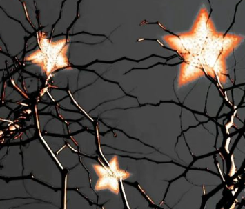 超精美的新版特色的朋友圈小作文1