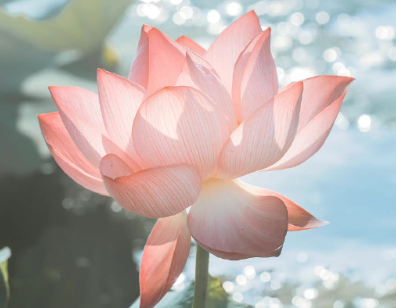 简短干净深入人心的超高质量的微信小短文1