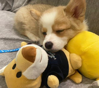 走心的很有感触的经典个性签名1