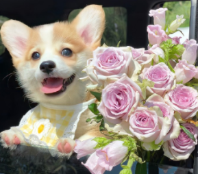 2024独特的优质且超棒的个性签名女1