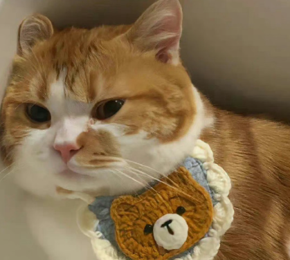 潇洒好心情的超精美的朋友圈文案1