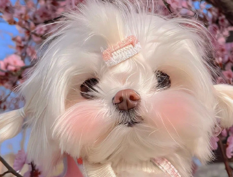 新版会被秒赞的取悦自己快乐的朋友圈小作文1