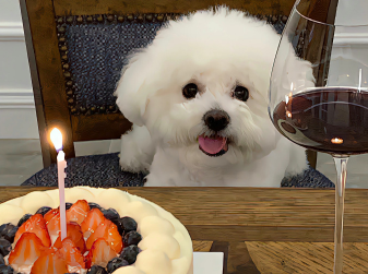 新版会被秒赞的新版特色的个性签名大全1