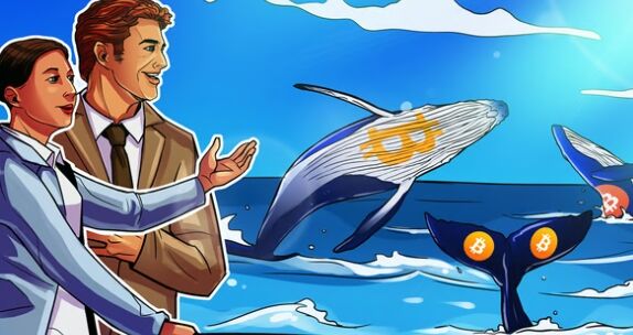 比特币巨鲸利用 9 万美元 BTC 价格下跌,揽获 15 亿美元