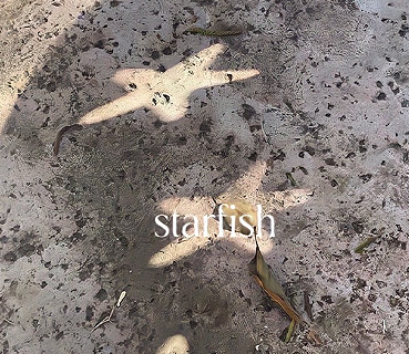 超给力的爆火的微信朋友圈小作文1