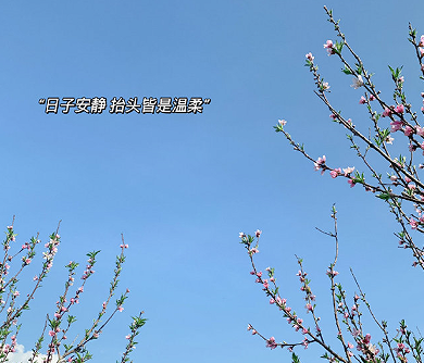 经典的入人心坎的微信朋友圈小作文1