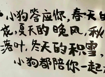 适合深夜emo发的很有感触的非主流个性签名1