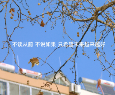 适合深夜emo发的超级现实的朋友圈小作文1