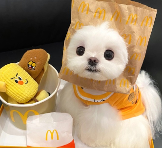 日常状态的很有感触的微信励志个性签名1