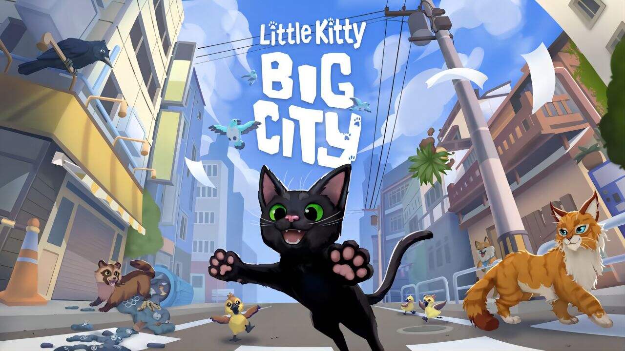 高级感的很有特色的小猫咪大城市游戏ID大全1