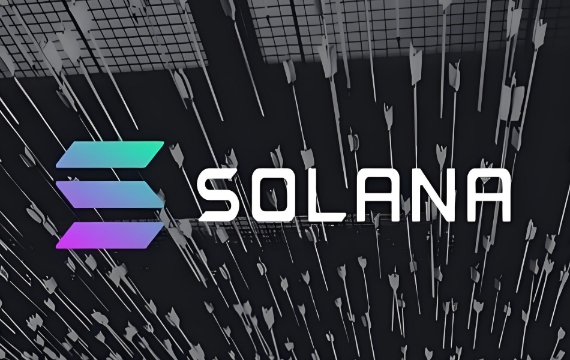 Solana惩罚机制是什么东西 Solana惩罚机制介绍