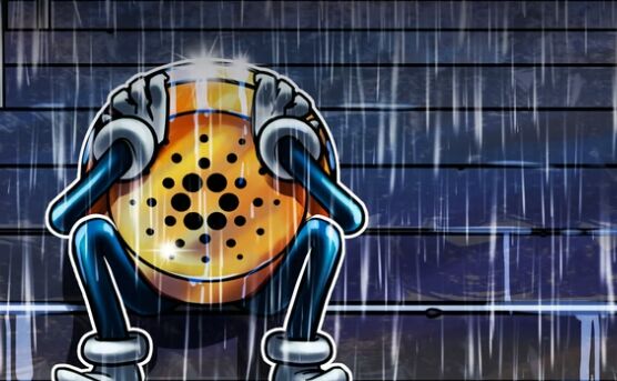为什么 Cardano 12月20日价格下跌？