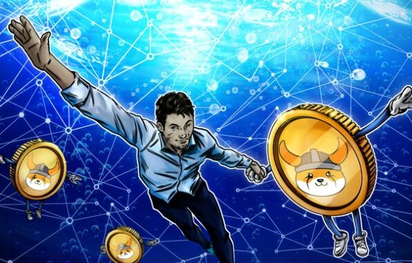 Floki DAO 在欧洲为 Floki ETP 提供流动性