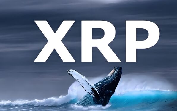 2025年XRP币会迎来牛市吗 2025年XRP币行情预测