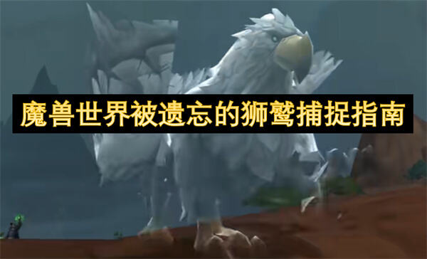 《魔兽世界》如何捕捉被遗忘的狮鹫？满足条件后在特定时间地点等待刷新1