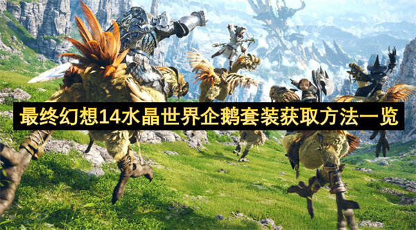 最终幻想14水晶世界企鹅套装获取方法一览是什么？最终幻想14水晶世界企鹅套装获取方法一览提供了企鹅套装的获取步骤1