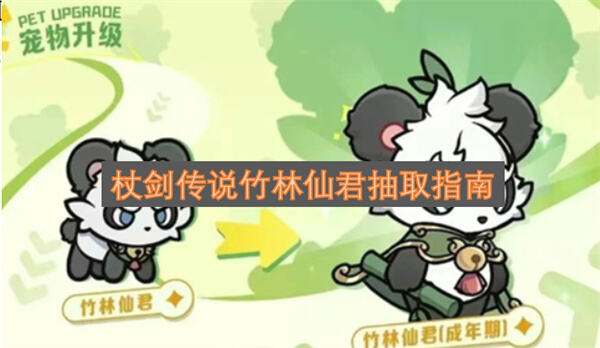 杖剑传说竹林仙君值得抽吗杖剑传说竹林仙君强度如何1