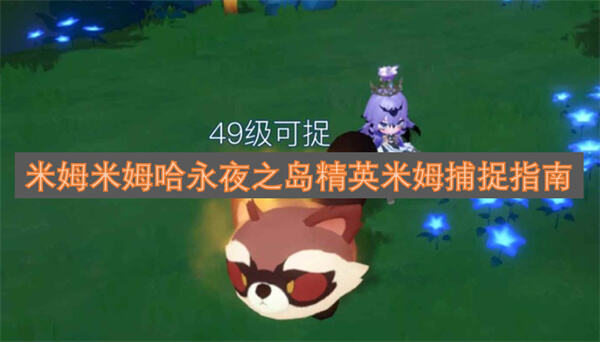 《米姆米姆哈》永夜之岛精英米姆怎么抓45级起光暗火系精英捕捉位置与词条攻略1