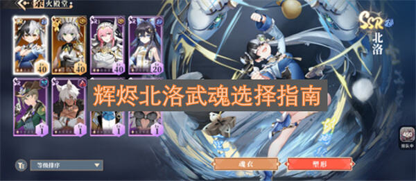 辉烬北洛武魂怎么选向天空出发最优选1