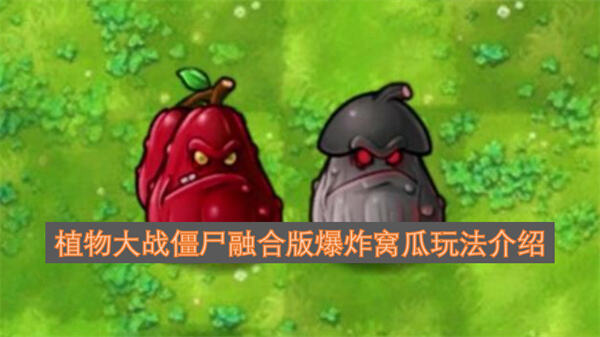 《植物大战僵尸融合版》爆炸窝瓜怎么玩《植物大战僵尸融合版》爆炸窝瓜玩法介绍1